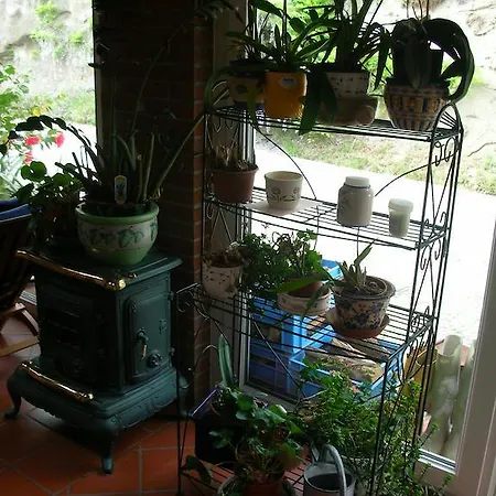 Bed & Breakfast Cascina Nel Bosco