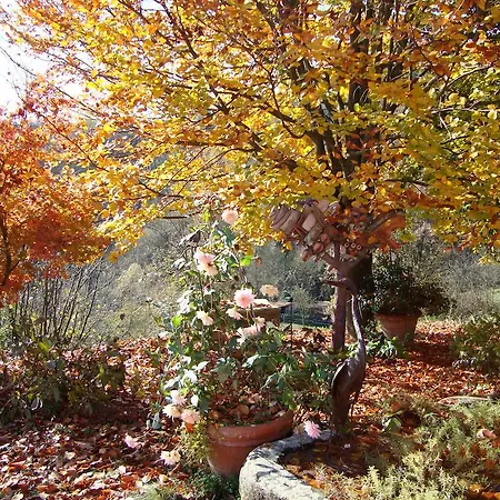 Bed & Breakfast Cascina Nel Bosco Moncucco Torinese