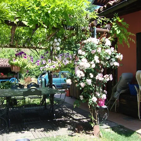 Bed and Breakfast Cascina Nel Bosco 3*