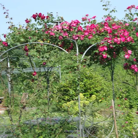 Cascina Nel Bosco Moncucco Torinese