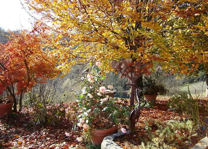 Frühstückspension Cascina Nel Bosco Moncucco Torinese