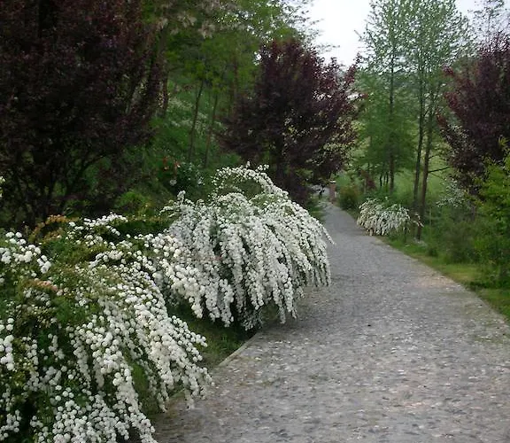 Bed & Breakfast Cascina Nel Bosco 3*