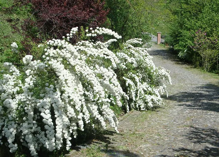 Bed & Breakfast Cascina Nel Bosco 3*